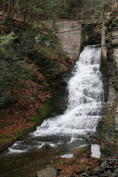 Falls at Ithaca, NY